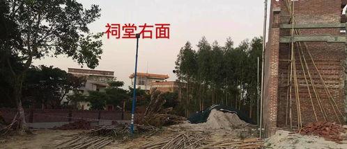 宜黄县媒体爆料最新消息,重大事件引发社会关注  第1张